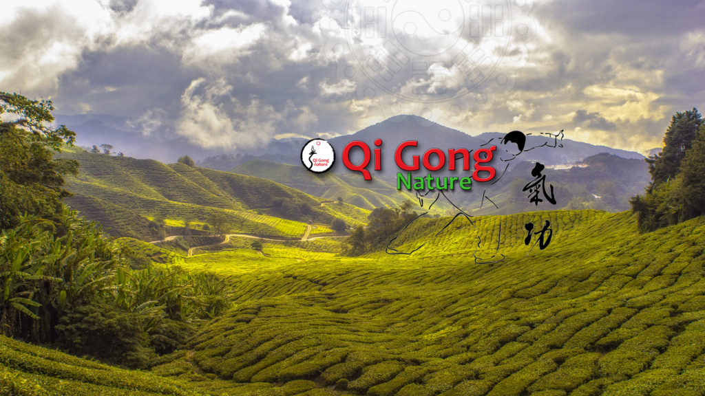 Image Qi Gong Nature sur Youtube