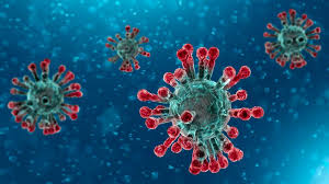 Résultat de recherche d'images pour "coronavirus"